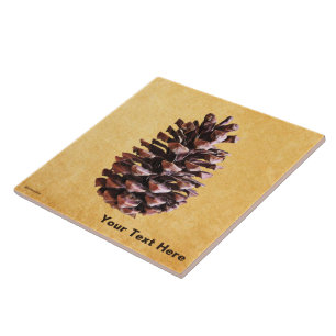 Pijnkloon op papier tegeltje