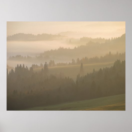 Pijnmist Poster (Voorkant)