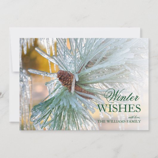 Pijnnaalden in ijs (Voorkant)