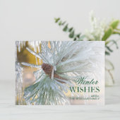 Pijnnaalden in ijs (Staand voorkant)