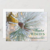 Pijnnaalden in ijs (Voorkant / Achterkant)