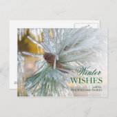 Pijnnaalden in ijs briefkaart (Voorkant / Achterkant)