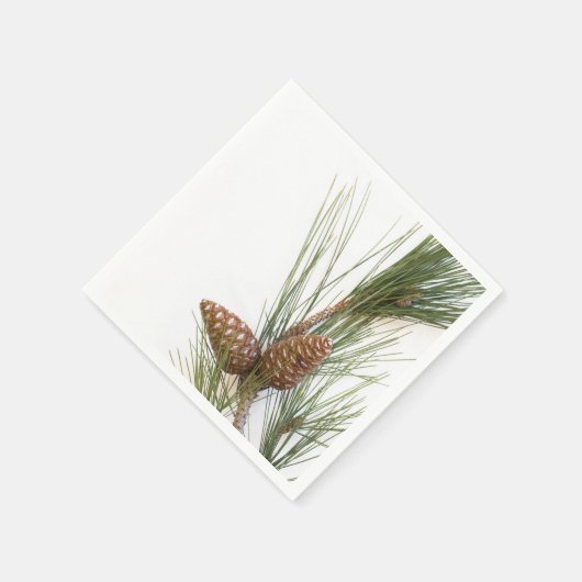 Pijntakjes en -kegels servet (Hoek)