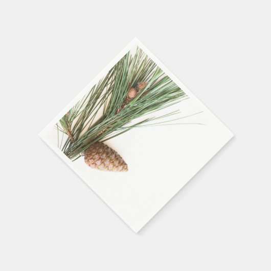 Pijntakjes en -kegels servetten (Hoek)