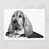 pijphond briefkaart (Voorkant)