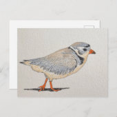 Pijpklaver Briefkaart (Voorkant / Achterkant)