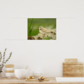 Pijpklaver Poster (Keuken)