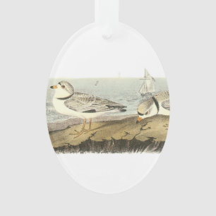 Pijpleiding door Audubon Ornament