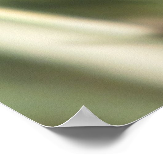 Pijppijlstaafbuikvlinder Poster (Hoek)