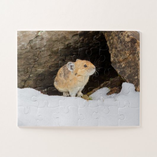 Pika in sneeuw legpuzzel (Horizontaal)