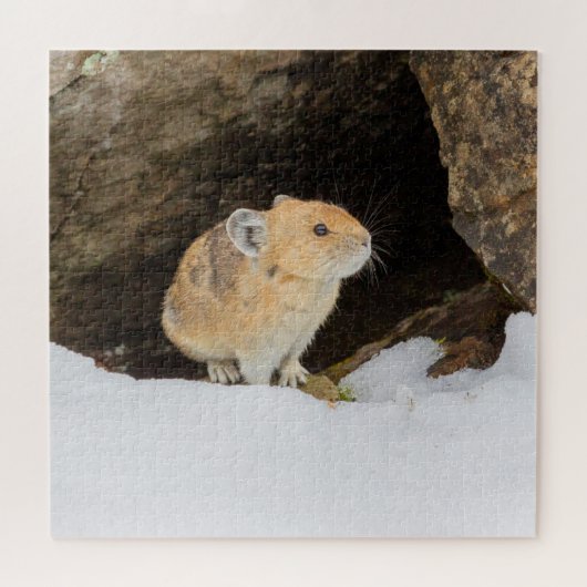 Pika in sneeuw legpuzzel (Horizontaal)