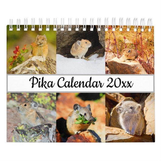 Pika Kalender (Hoes)