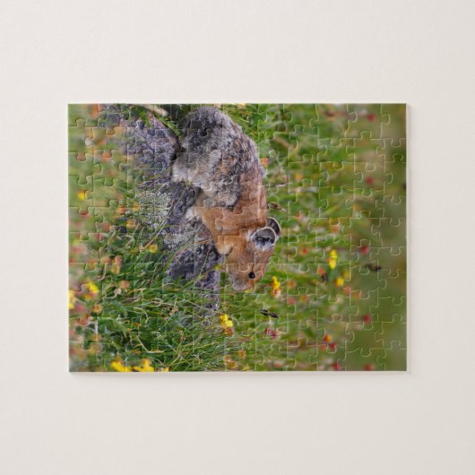 pika legpuzzel (Horizontaal)