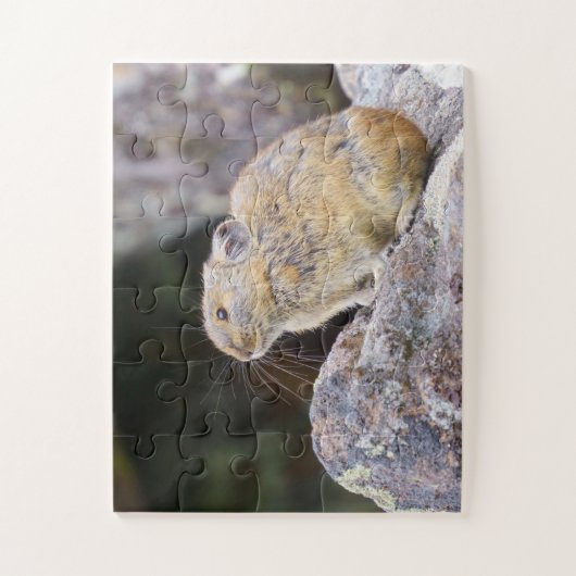 Pika Legpuzzel (Verticaal)