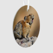Pika Ornament (voorkant)