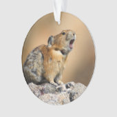 Pika Ornament (voorkant)