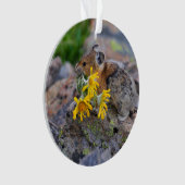 pika ornament (voorkant)