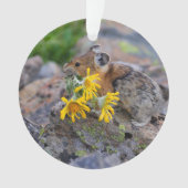 pika ornament (voorkant)