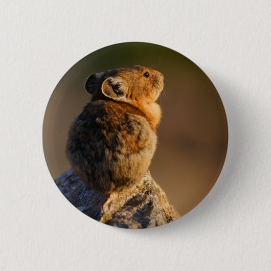 pika ronde button 5,7 cm (Voorkant)