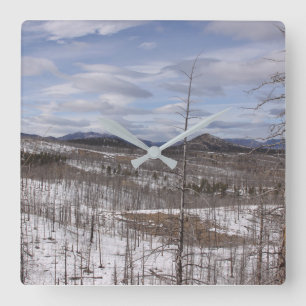 Pike National Forest Clock Vierkante Klok