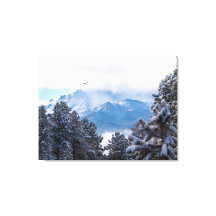 Pikes Peak en een zwevende arend na een sneeuwstor
