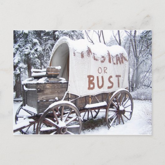 Pikes Peak of Bust Briefkaart (Voorkant)