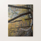 Pikes Peak State Park in McGregor, Iowa Legpuzzel (Verticaal)