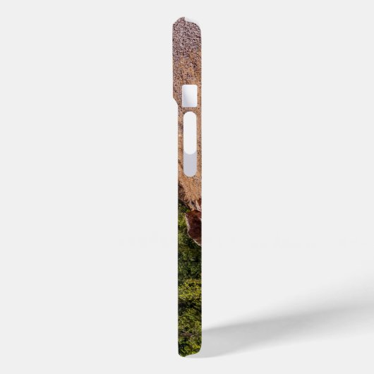 Pikes Peak Trein Ride iPhone Case (Achterkant / Links)