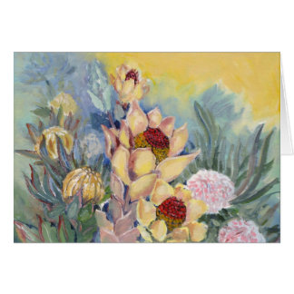 Piketberg Protea