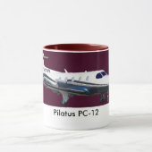 Pilatus PC-12 Portret, Pilatus PC-12 Mok (Midden)