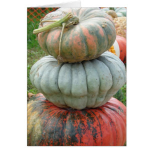 Pile Citrouille Heirloom