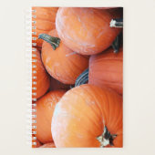 Pile Citrouille tombé (Devant)