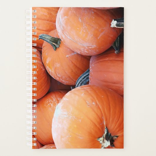 Pile Citrouille tombé (Devant)