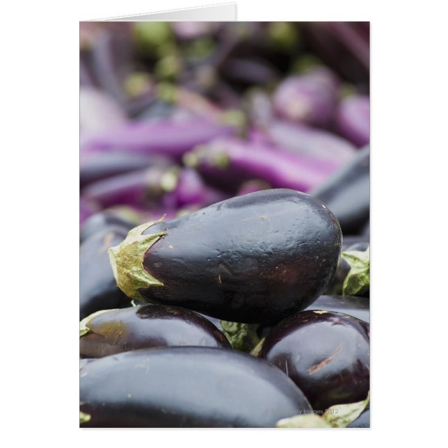 Pile d'aubergine (Devant)