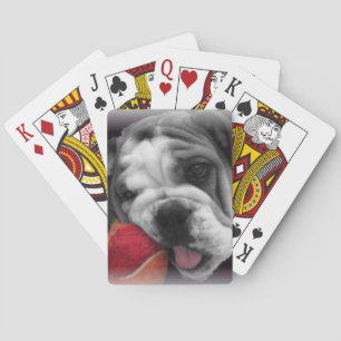 Pile de taureau anglais de cartes à jouer