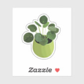 Pilea Peperomioides House Sticker Plante (Feuille)