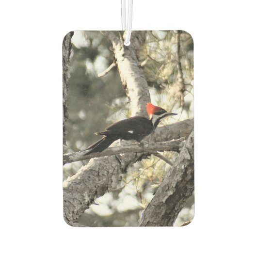 Pileated Woodpecker Air Freshener Luchtverfrisser (Achterkant)