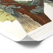 Pileated Woodpecker door het Poster van Audubon (Hoek)