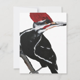 Pileated Woodpecker Feestdagenkaart