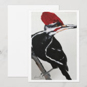 Pileated Woodpecker Kaart (Voorkant / Achterkant)