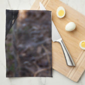 Pileated Woodpecker Kitchen Towel Theedoek (Quarter Fold)