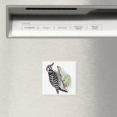 Pileated Woodpecker Magneet (Insitu (Vaatwasser))