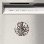 Pileated Woodpecker magnet Magneet (Insitu (Vaatwasser))