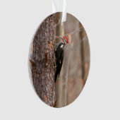 Pileated Woodpecker Ornament (voorkant)