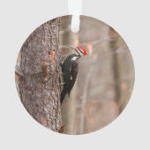 Pileated Woodpecker Ornament (achterkant)