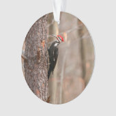 Pileated Woodpecker Ornament (voorkant)
