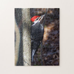 Pileated Woodpecker Puzzle Legpuzzel