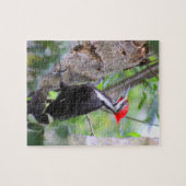 Pileated Woodpecker Puzzle Legpuzzel (Horizontaal)