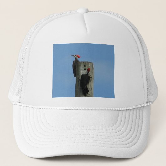 Pileated Woodpecker Trucker Pet (Voorkant)