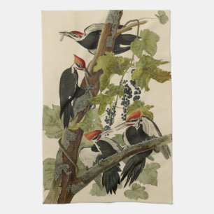 Pileated Woodpecker uit Audubon Birds of America Theedoek